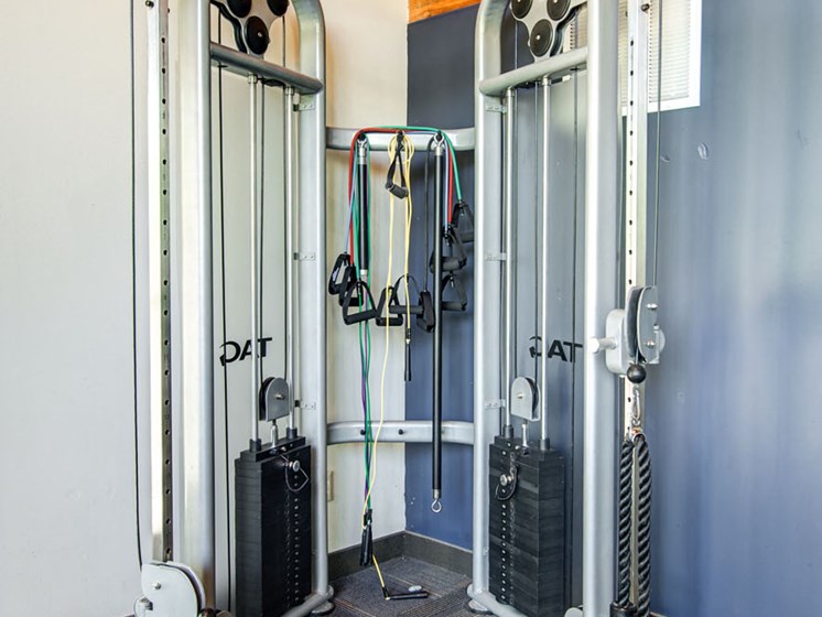 fitness center- weighted machine